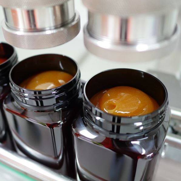 Mel de MANUKA Blend 250Gr.